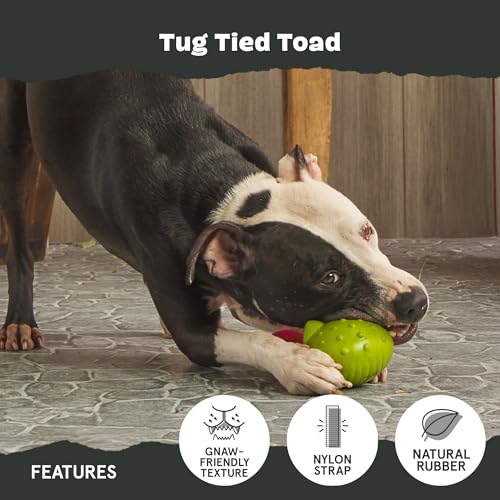 Image of BarkBox Tug Tied Toad Dog Toy | for Tough Chewers - Durable Rubber Design, Perfect for Tug-of-War
