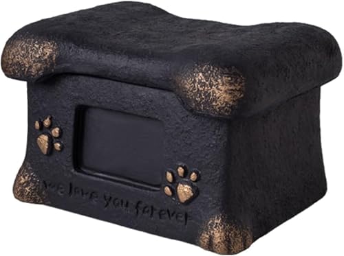 Scifimpybgp qLqpA{bNX L^ybgǓ x[X nŎgp\