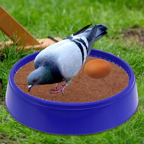 Abri de jardin pour canari protégeant des prédateurs extérieurs - 8