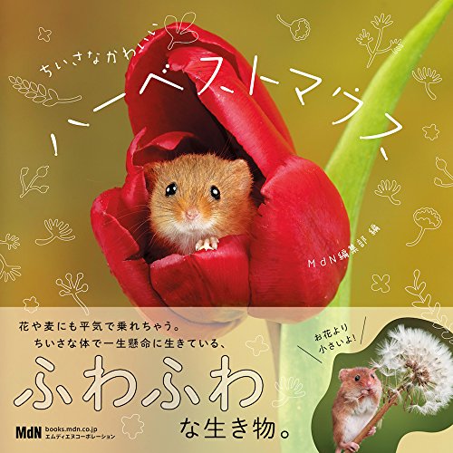 無料電子書籍 アプリ ちいさなかわいいハーベストマウス バイ