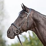  Kieffer Trensenzaum Ultrasoft schwarz englisches Reithalfter Stirnband mit Perlen gepolstertes Genickstück Professional, Größe Pferd:Warmblut
