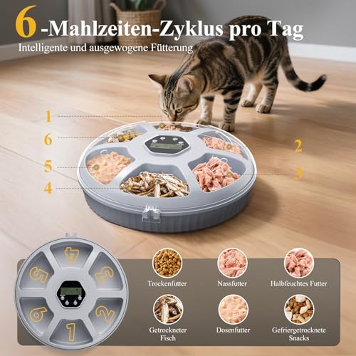 Zyncove Futterautomat Katze Nassfutter mit Kühlung: Nassfutterautomat für Katzen, Batteriebetriebener katzenfutter Automat - 6 Mahlzeiten für Haustiere Weiß(Batterien Nicht im Lieferumfang enthalten)