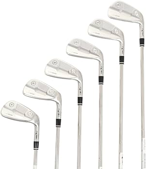Amazon.co.jp: 本間ゴルフ（HONMA） アイアンセット メンズ 6本 LB818