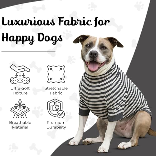 Pull grand chien qui protège le ventre: chemise rayée respirante
