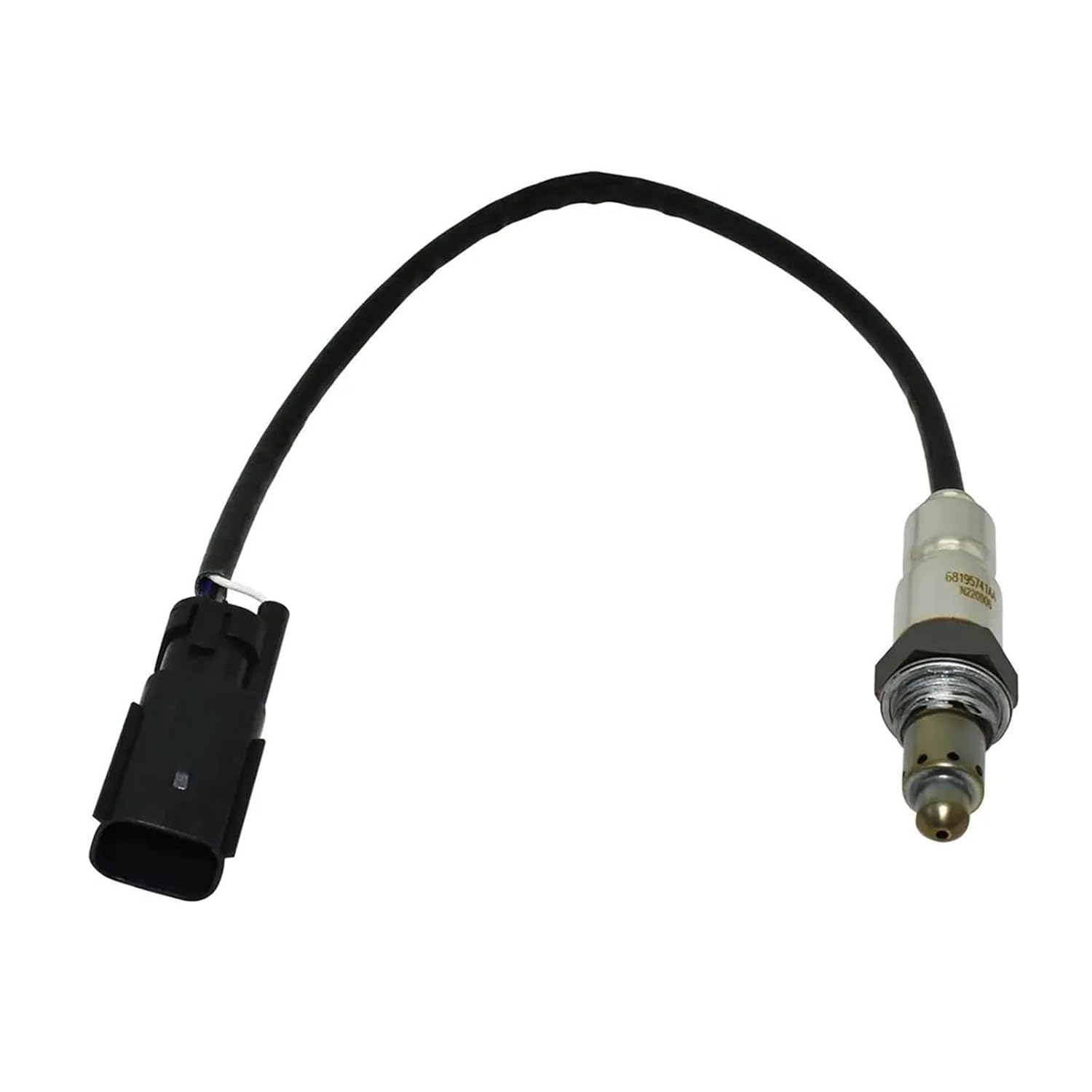 掛け軸 雲龍不動 日本画 掛け軸 柳原龍泉 作 雲龍不動 絹本 希少 軸装