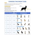 Soft Dog Cone Collar to Stop Licking After Surgery, Comfy Dog Cone Alternative for Large Medium Small Dogs/Cats, Adjustable Washable E-Collar for Spay Neuter Recovery and Neck Protection - Image 4