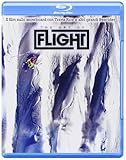The Art Of Flight