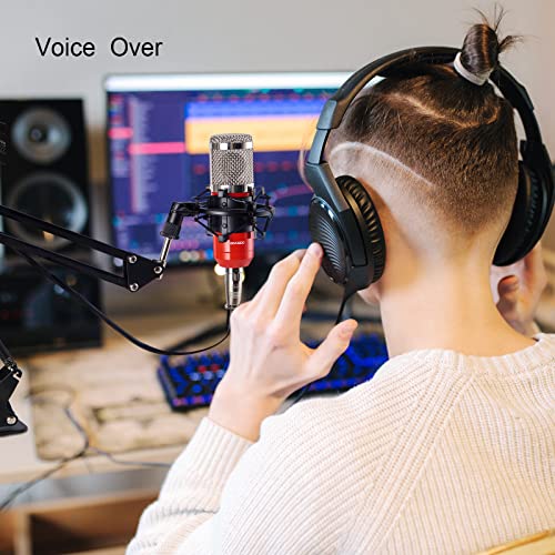 Zingyou Condenser Microphone Bundle, Bm-800 Pc Microphone Professional Cardioid Studio Mic Set With Mic Suspension Scissor Arm, Shock Mount And Pop Filter For Studio Recording & Broadcasting (Aurora R #TOP3