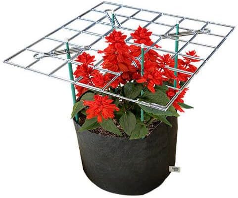 Smart P Scrog with 5 gal Smart Pot ®