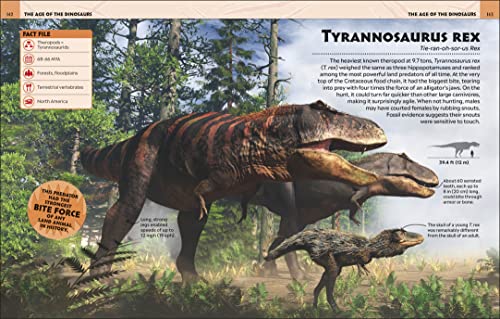 Extraordinary Dinosaurs and Other Prehistoric Life Visual Encyclopedia 6 51hoE2cs+AL