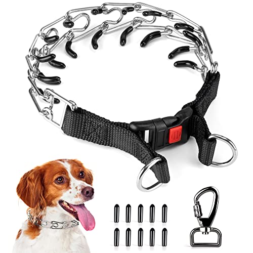 amazon dog pinch collars