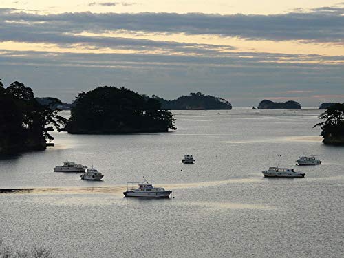 日本三景色・松島 島巡り遊覧船 日本三景色・松島 島巡り遊覧船