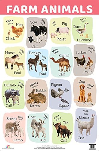 Charts: Farm Animals Charts (Educational Charts for kids) Wall Chart – 15 October 2017