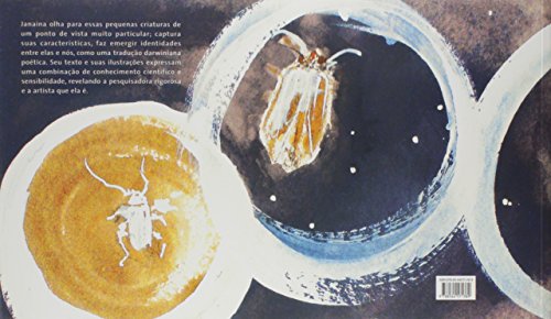 Pequenas armaduras