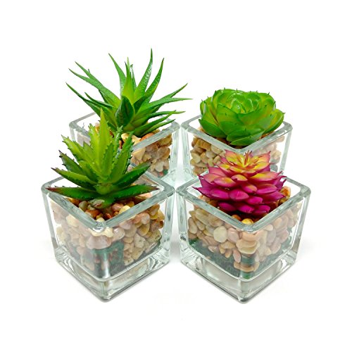 Espoir Living Small Glass Cube Artificial Succulent Planters | 4 Set | Assorted