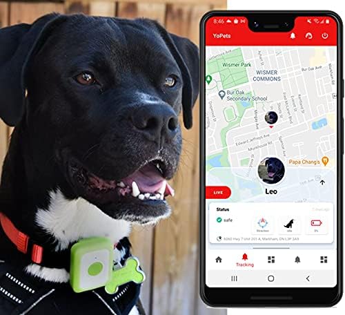 mini gps pet tracker