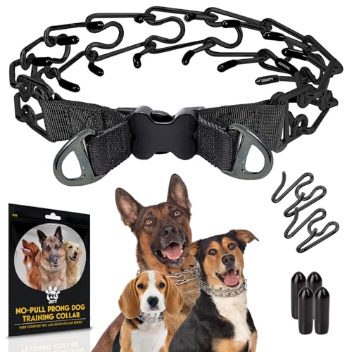 PetJett ProTrainer Prong Collar