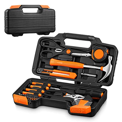 Mr. Bar-B-Q 02066X Prestige - Set Di 21 Attrezzi Per Barbecue In Acciaio Inossidabile Con Custodia