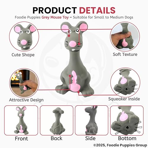 Image of Foodie Puppies Squeaky Latex Dog Toy for Small Dogs & Puppies | Grey Mouse Shape | Durable, Soft & Safe | Fun Chew, Fetch & Play Toy | 14cm | Interactive Animal Design with Cotton Filling