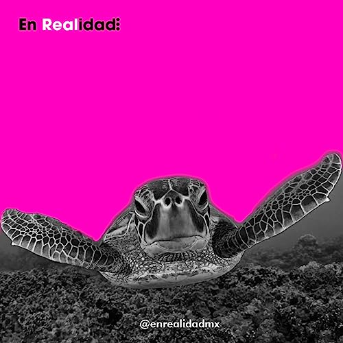 &iquest;Conoces la belleza natural del Arrecife Maya?