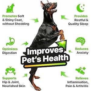 CharlieBuddy-Hmp-Oil-for-Dogs-Omega-369-for-Skin-Coat-Anxity-Relief-and-Jint-Pin - Cucciolini Doodles   CharlieBuddy-Hmp-Oil-for-Dogs-Omega-369-for-Skin-Coat-Anxity-Relief-and-Jint-Pin