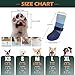 EXPAWLORER Anti Slip Dog Socks to Prevent Licking Paws, Dog Shoes for Hot Pavement, Dog Booties for Hardwood Floors, Dog Boots & Paw Protectors with Grippers for Small Medium Large Senior Dogs Blue L