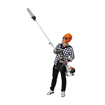 やぎしま　TC12 ２本分、Green Goliath穂木 71kticxWpOL.jpg_BO30,255,255,