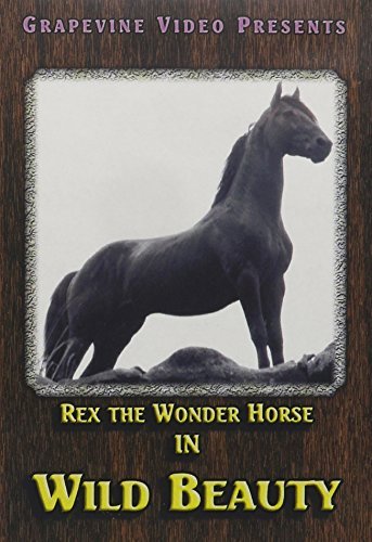 Wild Beauty by Rex the Wonder Horse