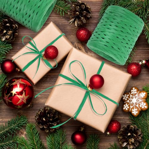 Image of BEVTEE 436 Yards Raffia Yarn for Crochet, Packing Paper Twine 2 Rolls Green | Paper Ribbon for Wrapping Christmas Crafts DIY Decoration, Easy to Tie, Perfect for Basket Weaving Supplies