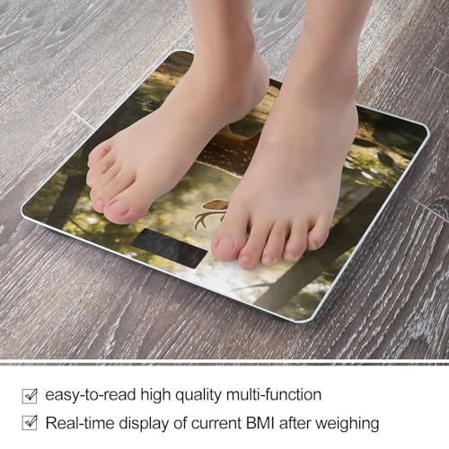 Báscula Digital de Baño RLDOBOFE de Vidrio Templado miniatura 5
