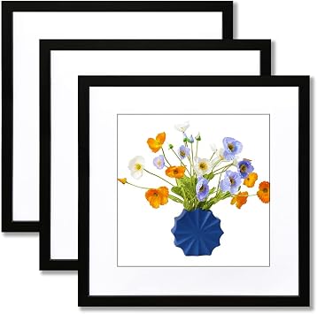 THREELOVE Black 24x24 Frame with 20x20 Mat Opening Picture Frame -3 PCS