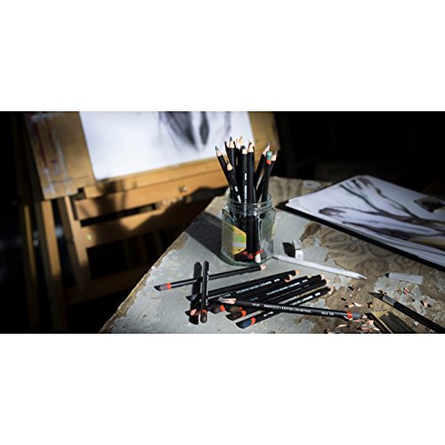 Kit Sfumini Da Disegno HASLED - 66 Pezzi, Punte Rotonde E Appuntite, Per Artisti - Foto 7