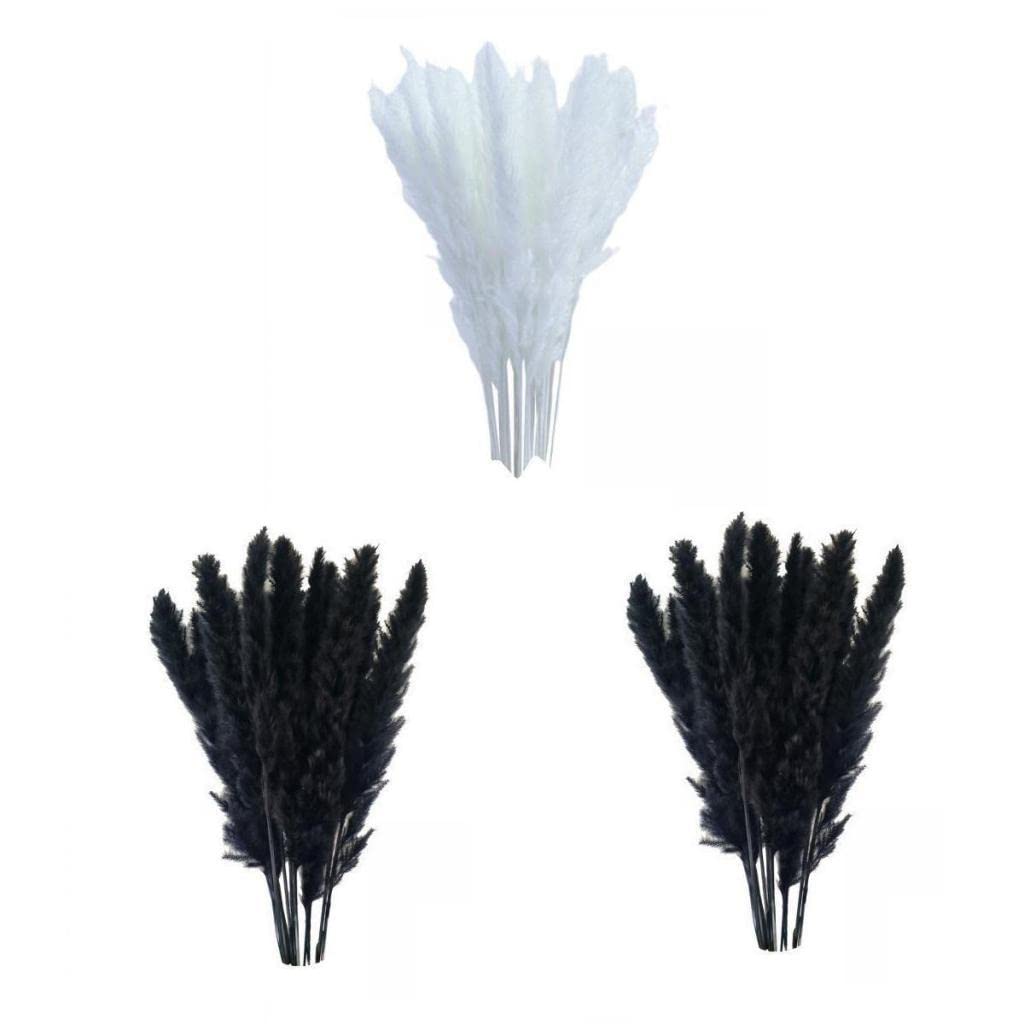 CALANDIS™ 45x Dried Pampas Grass Phragmites Reed Flower Bunch Home Wedding Decor | Home D?©cor-image-41
