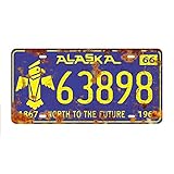 Panguru Replica Vintage License Plate, Embossed Metal Number Tags, Prop Vanity Car Registration...