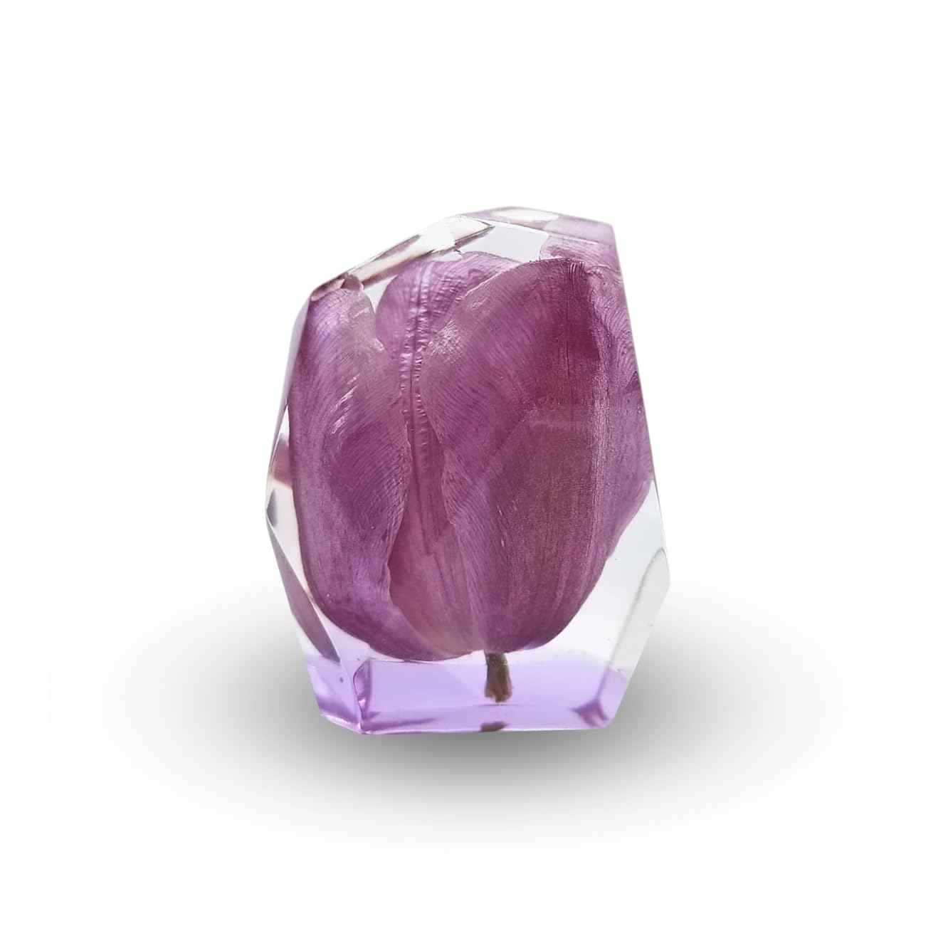 Tulip Preserved in Resin | Eternal Tulip | Real Tulip Resin Art | Handcrafted Tulip Paperweight | Unique Resin Crafts | Floral Resin Figurine |