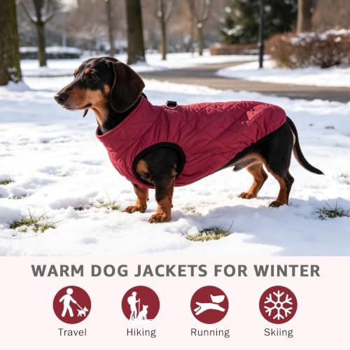 Image of SCENEREAL Dachshund Winter Dog Vest Coat with Harness Built in
