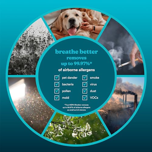Homedics Smart Air Purifier 4-in - Additional View