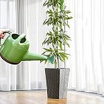 2 Pcs Watering Can Rose Head Replacement, Universal Garden Watering Can Sprinkler Head,Watering Can Outdoor Rose Head for Most Garden Watering Cans