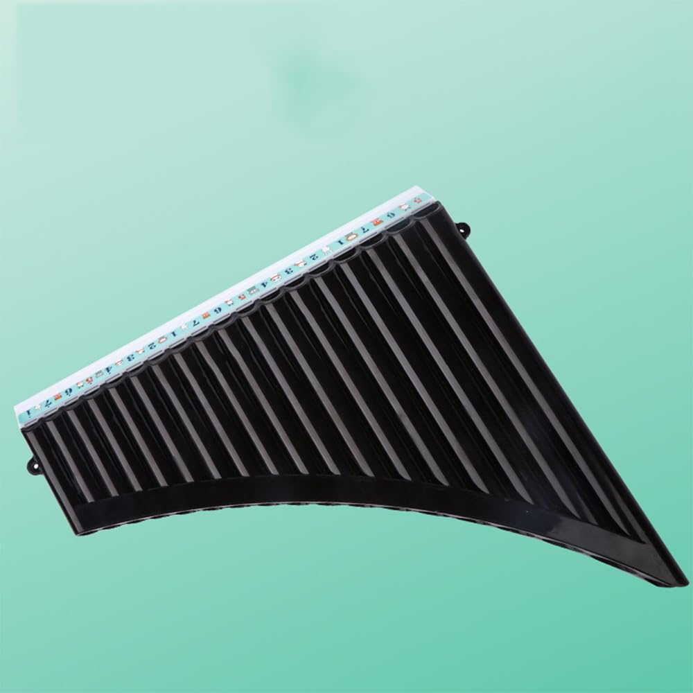 Flûte de Pan 18 Tuyaux, clé en do, Flûte de Pan avec Embouchure, Instrument à Vent pour étudiants et Débutants, avec Sac de Transport (BLACK)