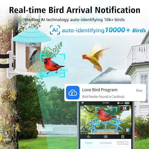 Smart-Bird-Feeder-with-Camera-Solar-Powered-2K-4MP-Real-Time-Video-Watch-Bird-House-Build-in-64GB-Card-AI-Identify-Bird-Instant-Notifications-Ideal-Gift-for-Bird-Lovers