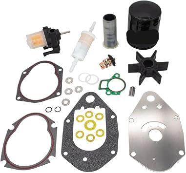 300 Hour Maintenance Service Compatible with 40 50 60HP 4 Cyl 4 Stroke Outboard Engine Models Compatible with 8M0113483