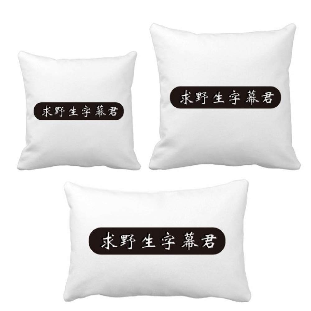Coussin de décoration Traduire des vidéos pour studio et bureau