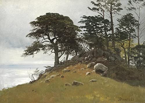 Tableau Cypress Point Monterey Albert Bierstadt Impression sur Toile 60x90cm