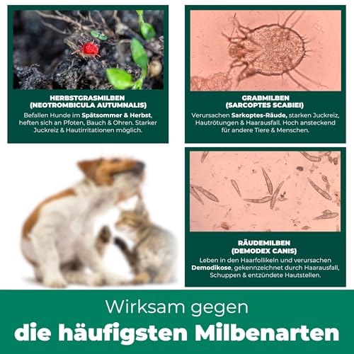 Silberkraft Milbenspray Hund & Katze 250 ml, Effektiver Schutz vor Milben, Flöhen & Parasiten , Anti-Milben-Mittel für Fell, Schlafplätze & Umgebung , Vertreibt Grabmilben, Herbstgrasmilben und mehr