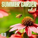 Peace Pipe (Steve Silk Hurley & DJ Skip S&S Orginal Extended Version)