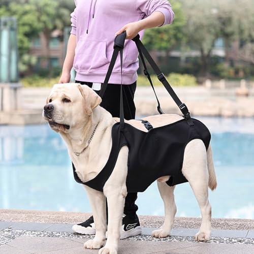 Sangle de transport pour chien de rééducation : harnais de levage ventral réglable