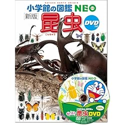 図鑑NEO 基本 5冊セット |本 | 通販 | Amazon