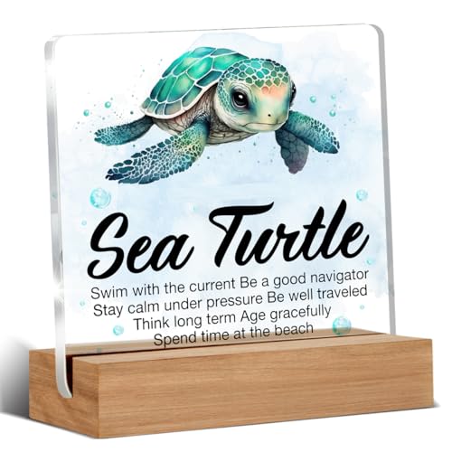 Inspirational Motivational Gifts - Turtle Gifts for Women Men