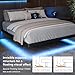 Feonase Full Size Floating Bed Frame with Charging Station and Led Lights, Metal Bed Frame with Heavy Duty Steel Slats Supports, No Box Spring Needed, Easy Assembly, Black