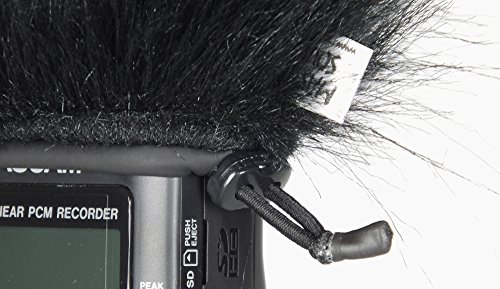 Master Sound Tascam DR40, Winds Screen For